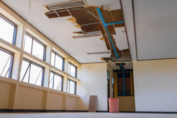 Best Water damage restoration near me  in Missoula, MT