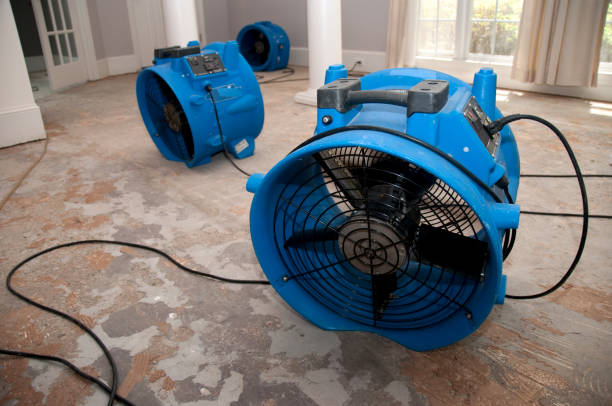 Best 24-hour water damage restoration  in Missoula, MT