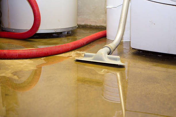 Best 24/7 water damage repair  in Missoula, MT