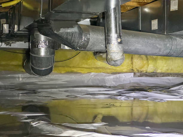 Best Flood damage cleanup  in Missoula, MT
