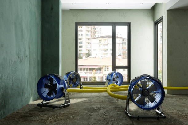 Best Ceiling water damage repair  in Missoula, MT